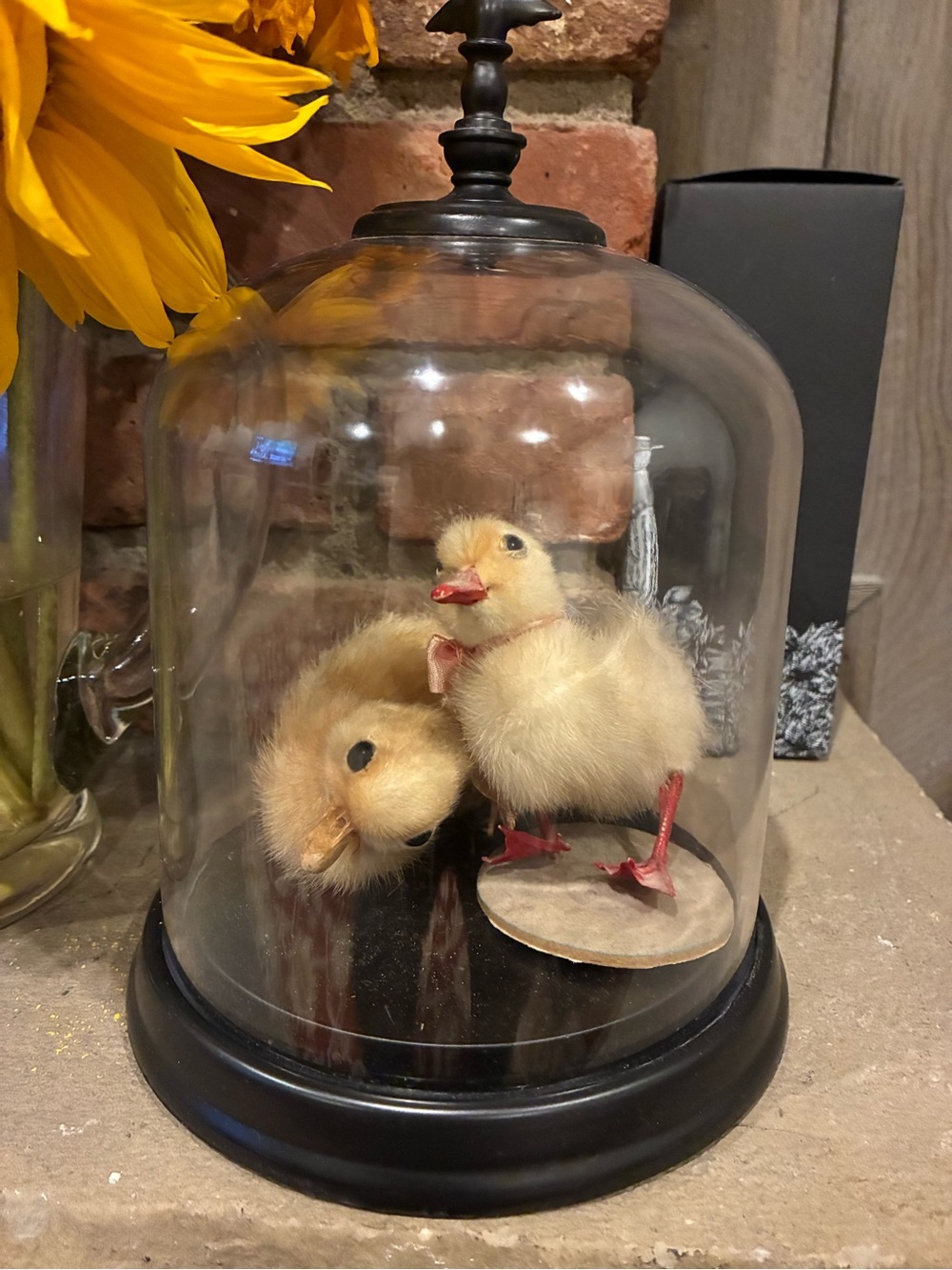 Vintage Taxidermy, Chick, Chicks with Cloche